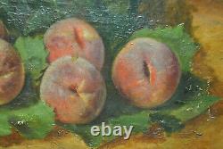 Tableau peinture ancienne nature morte aux fruits fruit pèche Robbe