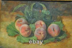 Tableau peinture ancienne nature morte aux fruits fruit pèche Robbe