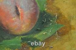 Tableau peinture ancienne nature morte aux fruits fruit pèche Robbe