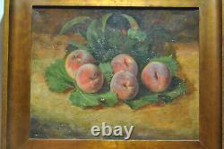 Tableau peinture ancienne nature morte aux fruits fruit pèche Robbe