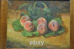 Tableau peinture ancienne nature morte aux fruits fruit pèche Robbe