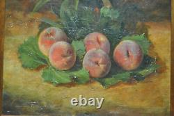 Tableau peinture ancienne nature morte aux fruits fruit pèche Robbe